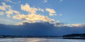 Läs mer om artikeln Jag är inte vad som har hänt mig