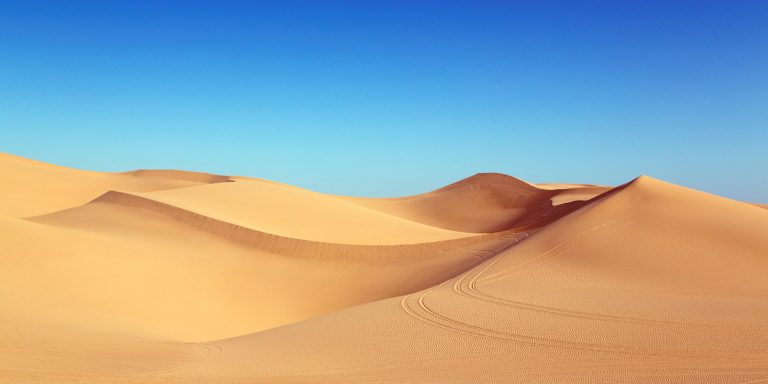 Läs mer om artikeln Åka rullstol i Sahara