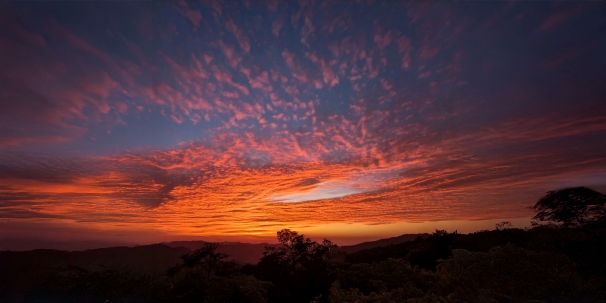 Läs mer om artikeln Att hitta styrka i livets utmaningar