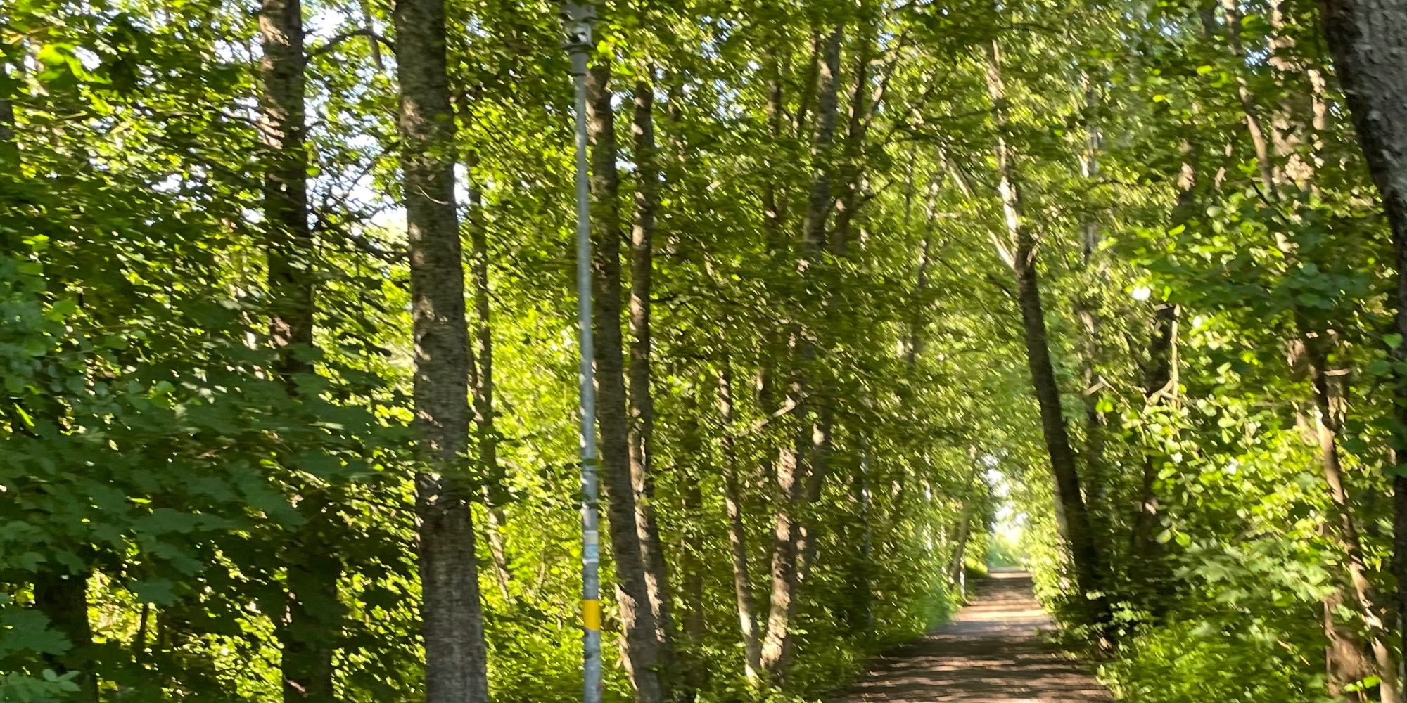 Du visar för närvarande Livet går i vågor